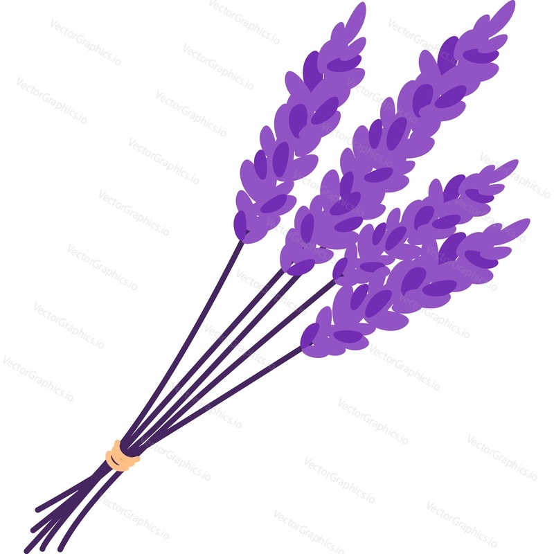 Lavender flower bunch vector icon isolated on white background
