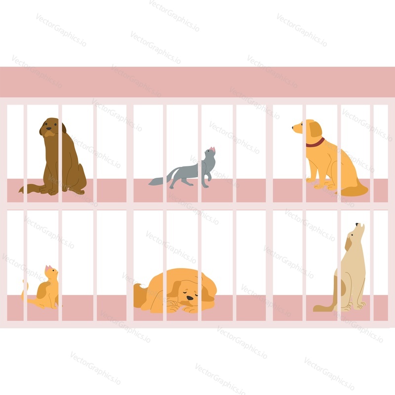 Animals at pet shelter vector icon isolated background.