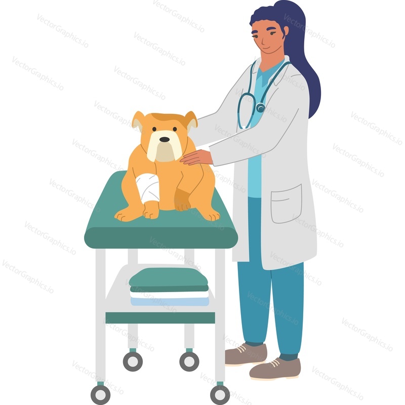 Veterinary clinic doctor examining and treating dog vector icon isolated background.