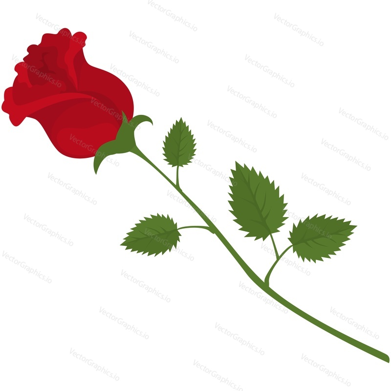 Vector red rose flower icon. single bud with petal and leaf on thorn stem isolated on white background. Romance and love beautiful symbol. Magical circus show accessory
