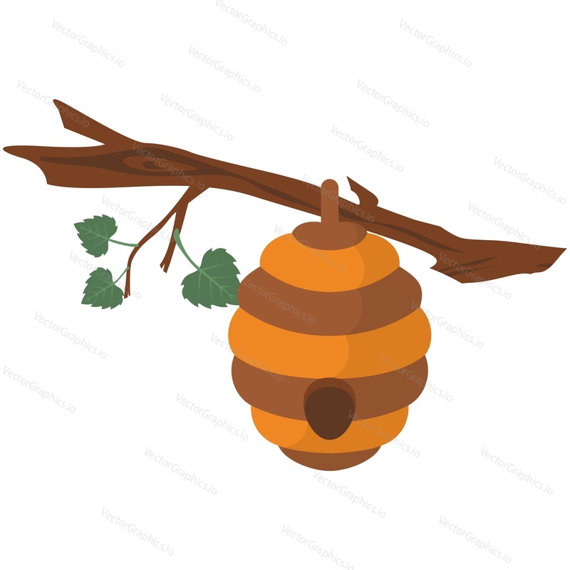 Вектор улья. Иллюстрация гнезда медоносной пчелы или осы на ветке дерева. Домашняя пасека для диких насекомых, изолированных на белом фоне
