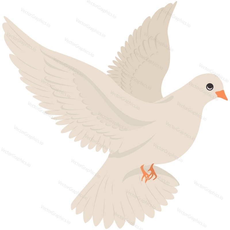 White pigeon dove bird vector isolated illustration. Spirit of hope and peace. Beautiful love, purity and romance symbol. Feathered flying animal for magical trick