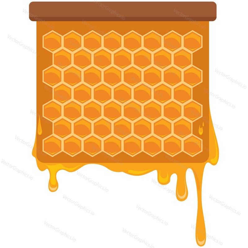 Мультфильм с пчелиными сотами. Значок пчелиного медового гребня. рамка для улья с восковой ячейкой в форме шестиугольника и капающим сладким золотистым медовым сиропом, выделенным на белом фоне