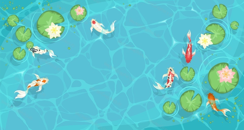 Jezero Pohled shora pozadí s plavání koi ryby. Modrá voda libra s lilie Lotosový květ vektorové ilustrace v kresleném stylu