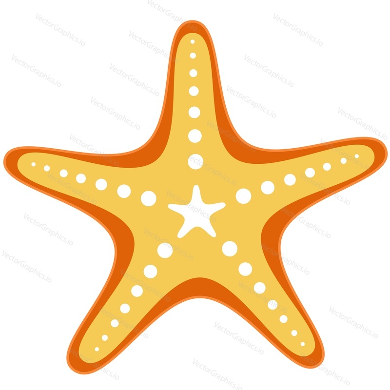 Sea star vector. Starfish isolated icon. Ocean beach, marine underwater star fish or aquarium tropical animal on white background