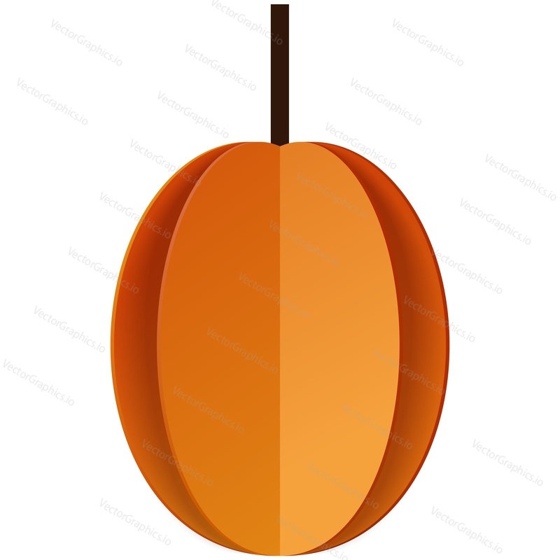 Apricot fruit vector illustration. Ripe