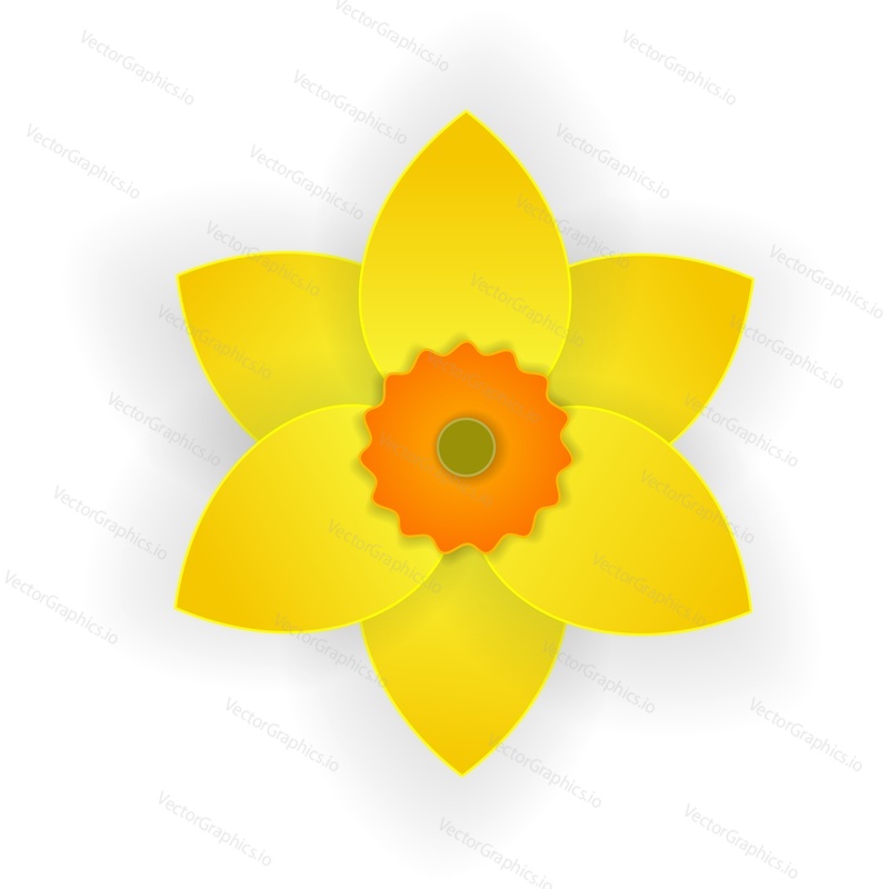 Papercut spring blossom floral pattern. Vector Narcissus flower. Paper origami bloom bud icon. Springtime holidays decor for easter or 8 march isolated on white background