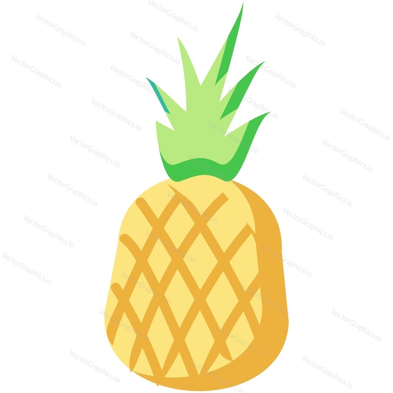Vector pineapple. Tropical icon summer fruit isolated illustration. Nature ananas plant food cartoon on white background