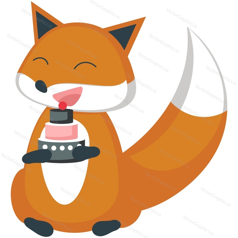 Red fox eating sweet birthday