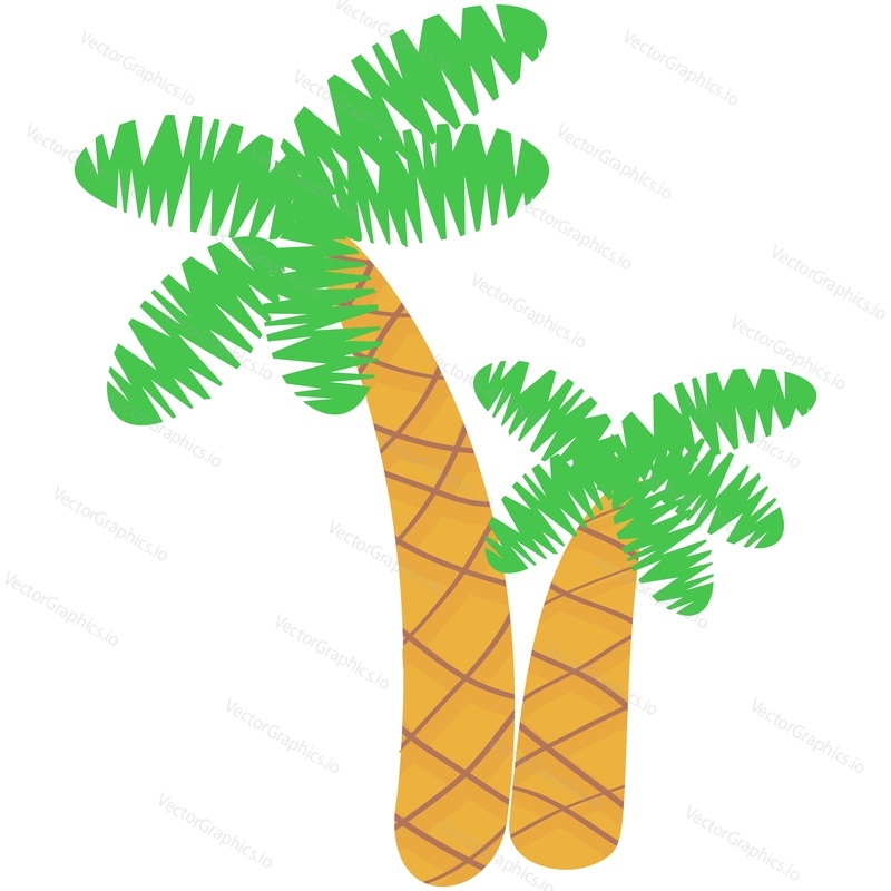 Vektorové palm coconut tree cartoon ikona ilustrace. Dva tropické džungle zahrada nebo lesní coco rostlina izolovaných na bílém pozadí