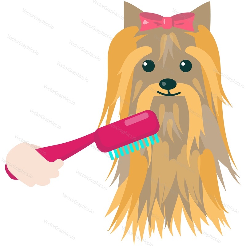 Combing puppy wool with brush vector. Dog grooming cartoon icon. Groomer barbershop salon for pet. Cute animal character isolated on white background