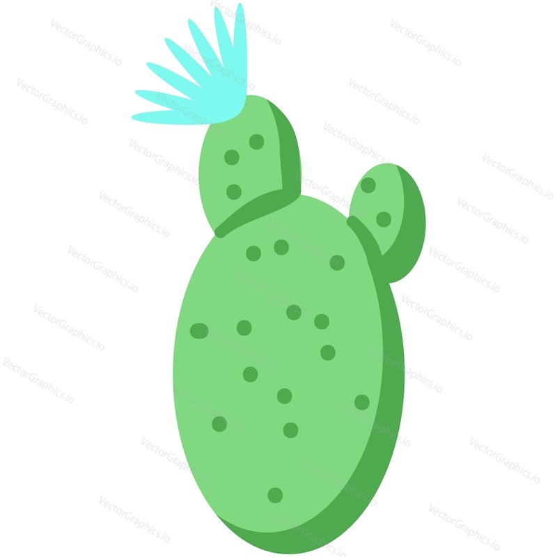Vector cactus. Desert cacti icon. Mexican flower with thorns in bloom cartoon illustration. Tropical prickly succulent plant blossom isolated on white background