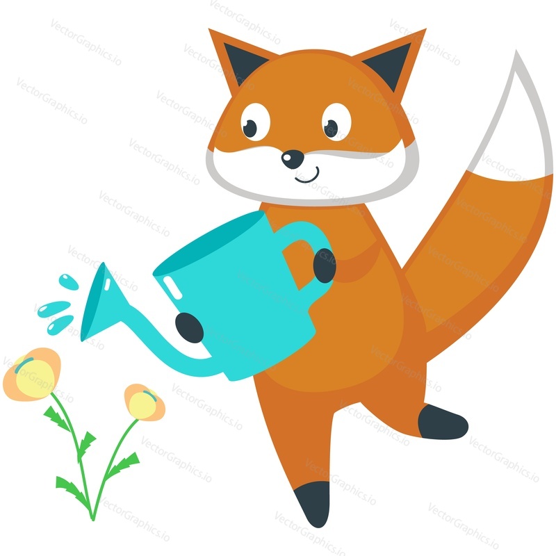 Kreslený fox vektor. Ikona roztomilého zvířete. Červená lesní znak zalévání Jarní květina s může izolované ilustrace na bílém pozadí