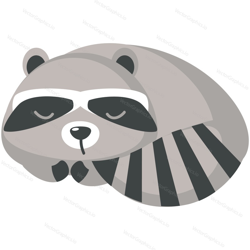 Cute raccoon sleeping vector. Funny woodland animal character rest cartoon icon illustration isolated on white background