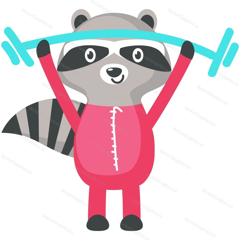 Raccoon training with barbell vector icon. Cartoon animal enjoy gym fitness exercise. Cute character athlete pumping muscle illustration isolated on white background