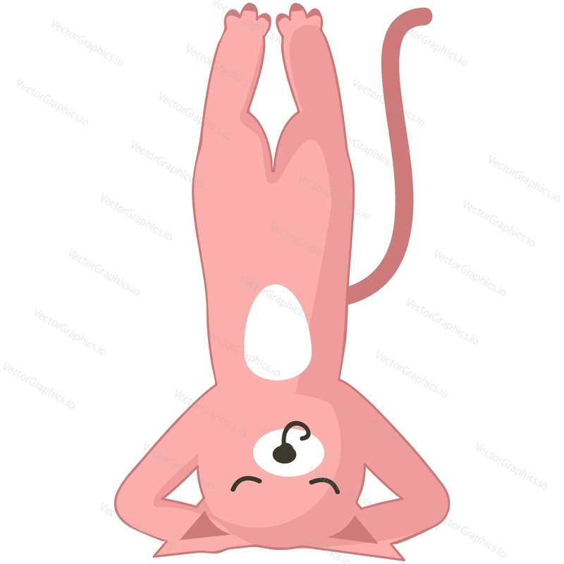 Yoga cat vector. Cute animal icon. Cartoon pet character meditating in handstand pose illustration. Kitty zen isolated on white background