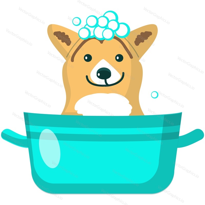 Dog washing in bath vector. Pet grooming cartoon icon. Animal spa. cute puppy in bathtub full of water and shampoo soap bubble isolated on white background. Canine hygiene and care