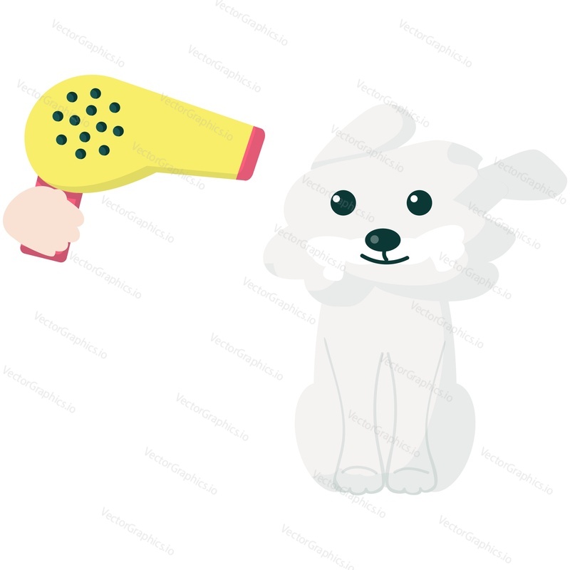 Dog hair drying grooming vector cartoon. Pet hairstyle. Canine spa and groom. Doggy hygiene and animal care. Icon isolated on white background