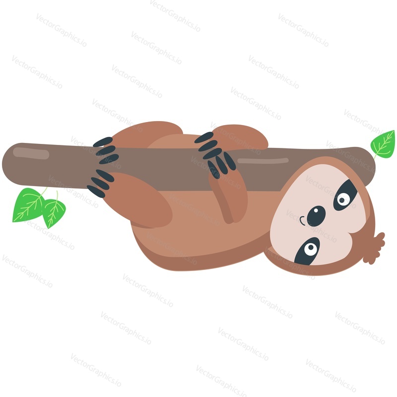 Cute sloth vector. Cartoon animal climbing tree branch icon. Funny lazy baby forest character playing isolated on white background