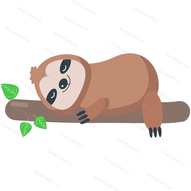 Cute sloth vector. Cartoon animal sleeping on tree branch icon. Funny lazy baby forest character rest isolated on white background