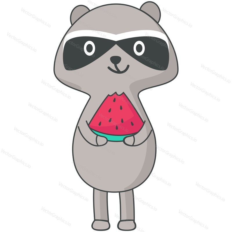 Cute raccoon vector. Funny woodland animal eating sweet summer watermelon dessert cartoon icon. Doodle character illustration isolated on white background