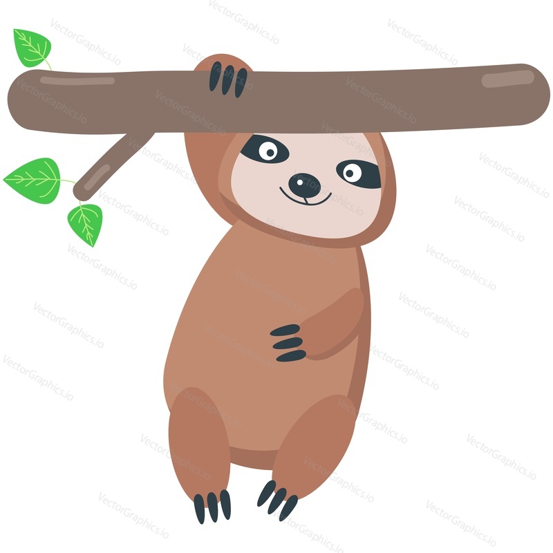 Cute sloth vector. Cartoon animal hanging on tree branch icon. Funny lazy baby forest character enjoy rest playing and climbing isolated on white background