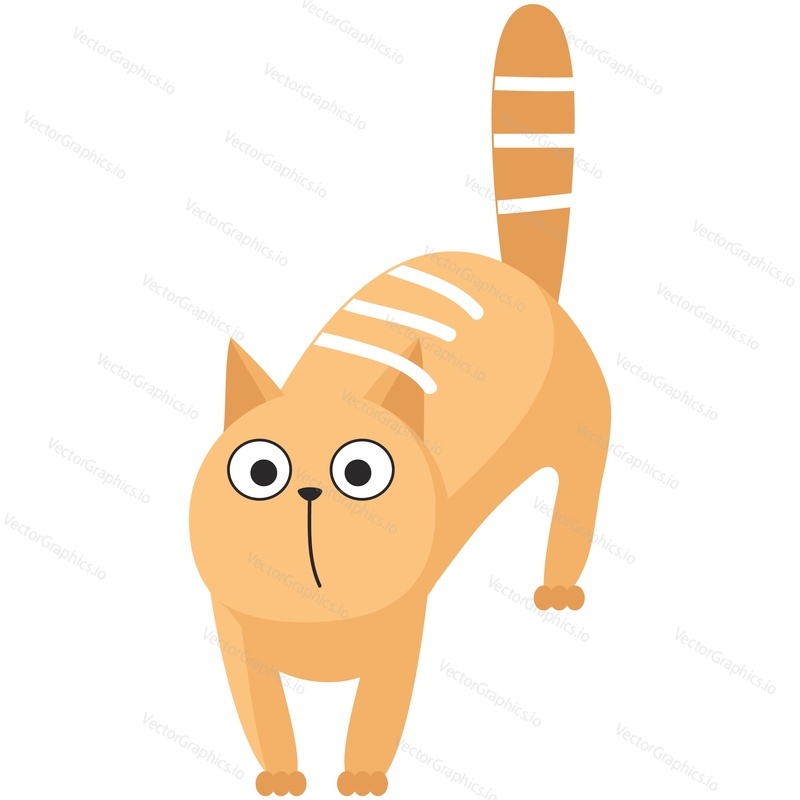 Cute cat vector. Cartoon animal. Kitten character illustration. Funny striped pet showing surprised amazed muzzle emotion icon isolated on white background