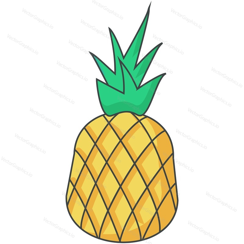 Pineapple vector. Ananas cartoon illustration. Isolated tropical fruit with green leaf icon. Vitamin food from summer garden on white background