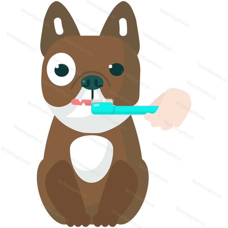 Brushing cartoon dog teeth with toothbrush vector. Animal pet dental care icon. Cute bulldog oral hygiene isolated on white background