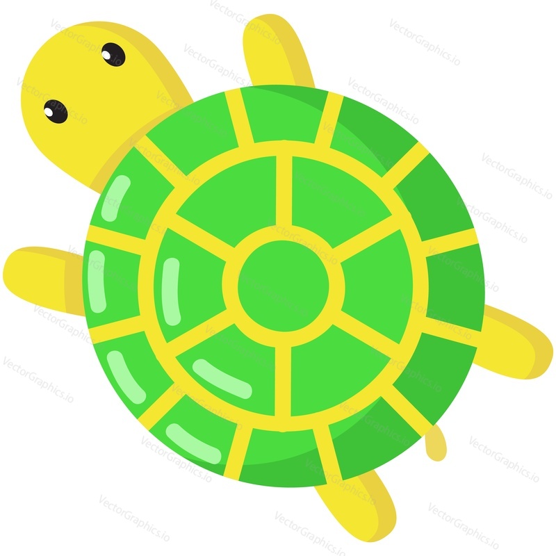 Cartoon turtle vector. Cute tortoise character illustration. Sea shell animal funny mascot isolated icon on white background