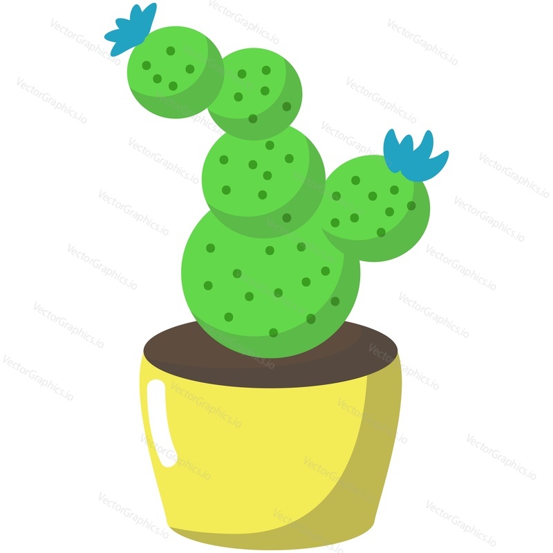 Cactus vector succulent plant pot in illustration. Succulent flower icon. Cacti flowerpot isolated. Prickly houseplant for home interior isolated on white background