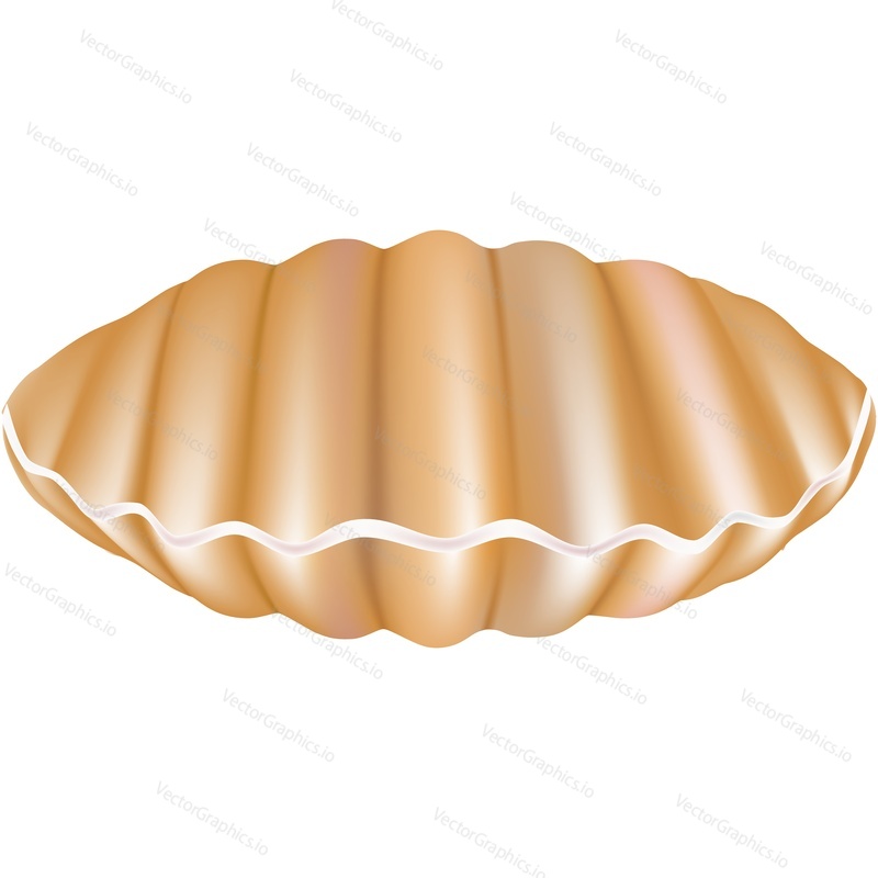 Closed pearl sea shell vector