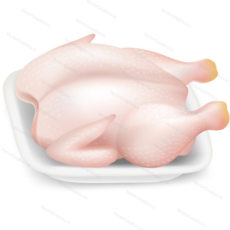 Raw chicken carcass vector. Protein food icon isolated on white background. Uncooked meat. Butcher shop logo or sport diet design element