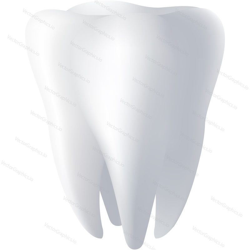 White tooth realistic design vector icon. Clean healthy teeth with whitening enamel isolated