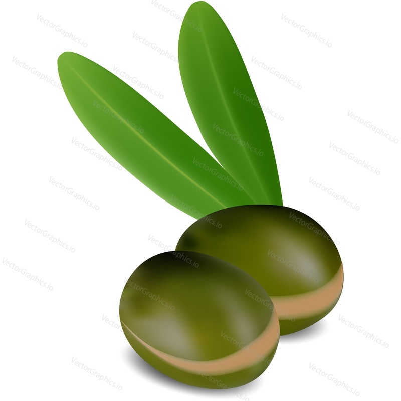 Argan seed with leaves realistic vector icon. Nut isolated on white background. Bio organic cosmetic or herbal spa product design element