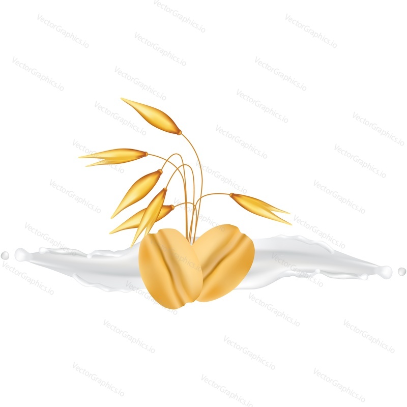 Oat cereal icon. Vector spikelet and grain seed realistic design. Oatmeal plant isolated on white background