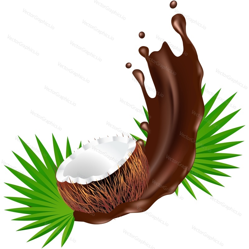 Coconut, green palm tree leaf and splashing melted dark chocolate realistic vector icon. Design element for sweet products isolated on white background