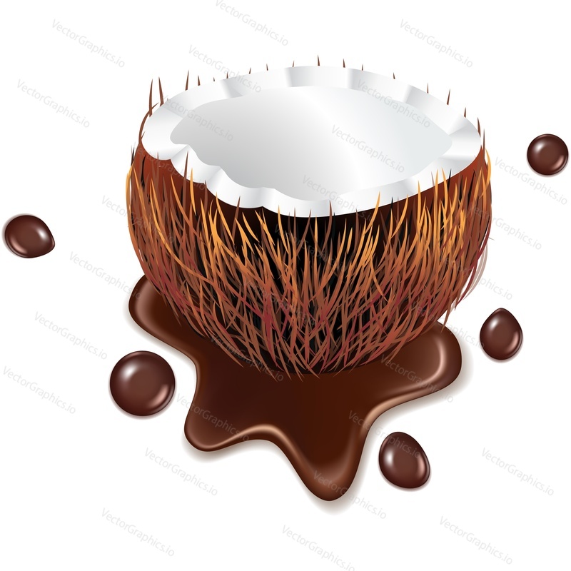 Coconut in melted chocolate splash realistic vector icon. Design element for sweet products isolated on white background