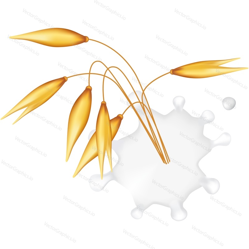 Cereals and milk splash vector icon. Healthy food package realistic design element isolated on white background