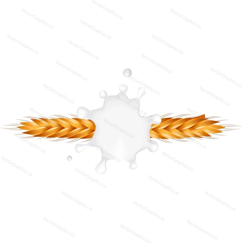 Wheat ears spikelets under milk splash vector icon. Realistic organic vegetarian food packaging design element isolated on white background