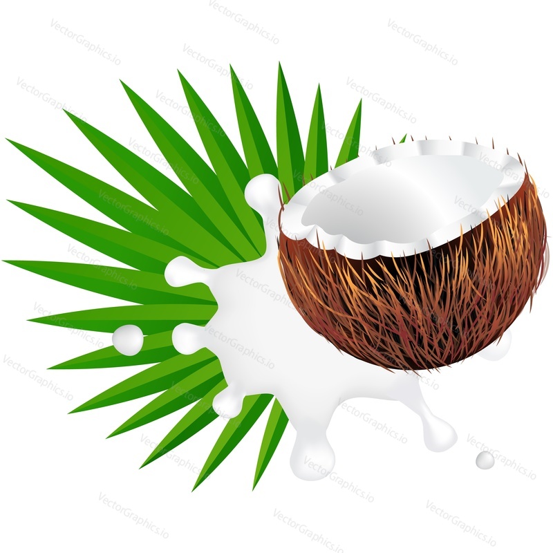 Exotic fruit coconut and drop splash of milk over green palm tree leaf realistic vector icon. Design element for sweet products isolated on white background