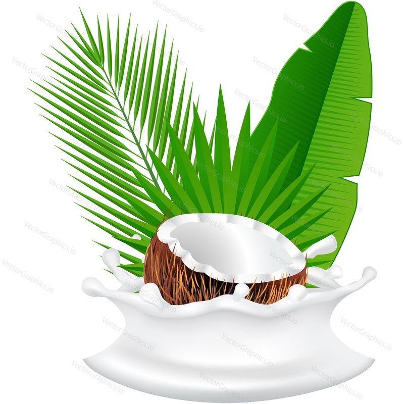 Milkshake splash and coconut fruit over green palm tree leaf realistic vector icon. Design element for sweet products isolated on white background