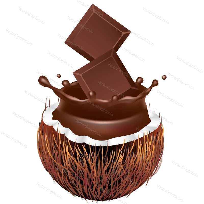 Chocolate slice and cracked coconut realistic vector icon. Design element for dessert products isolated on white background