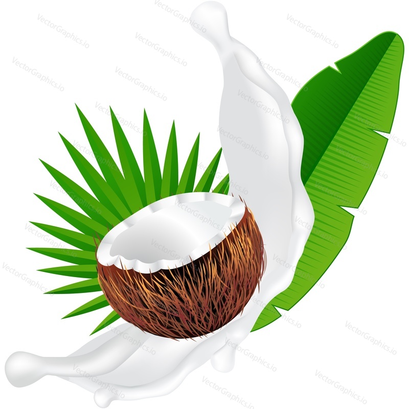 Cracked exotic fruit coconut shell and plash of milk over green palm tree leaf realistic vector icon. Design element for sweet products isolated on white background