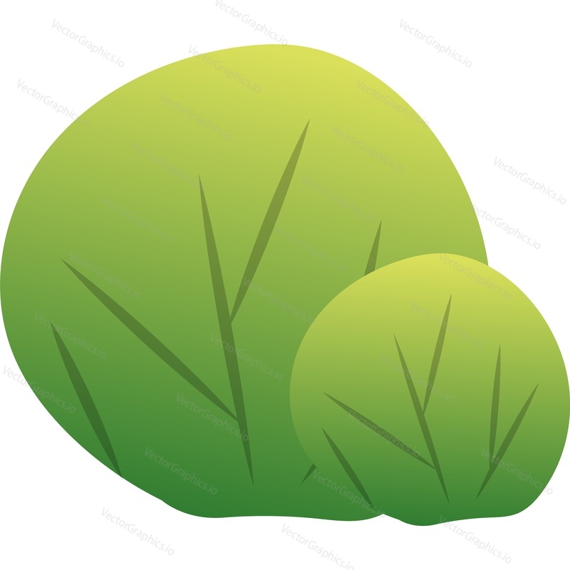 Bush vector. Shrub icon. Garden or forest plant isolated. Landscape vegetation on white background