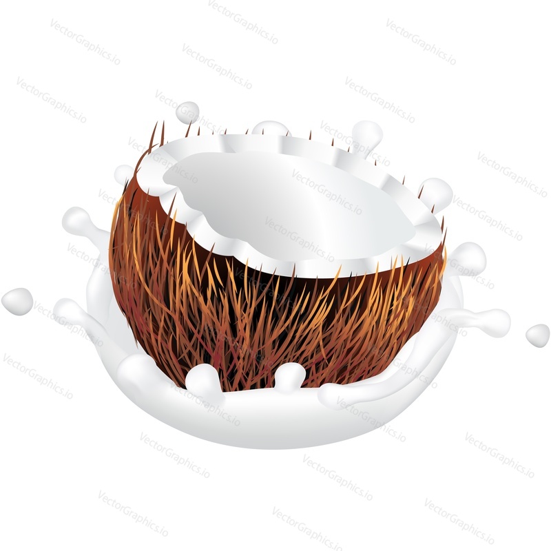 Cracked coconut in milk realistic vector icon. Design element isolated on white background