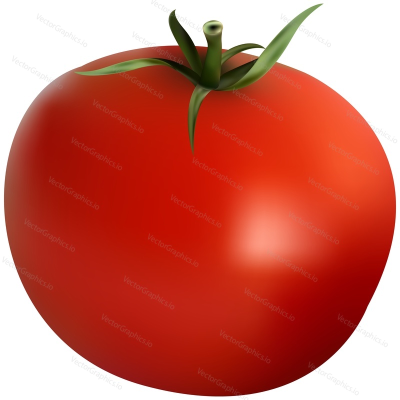 Vector tomato. Isolated red cherry icon. Vegetable food on white background. Beverage drink, salad or smoothie ripe ingredient