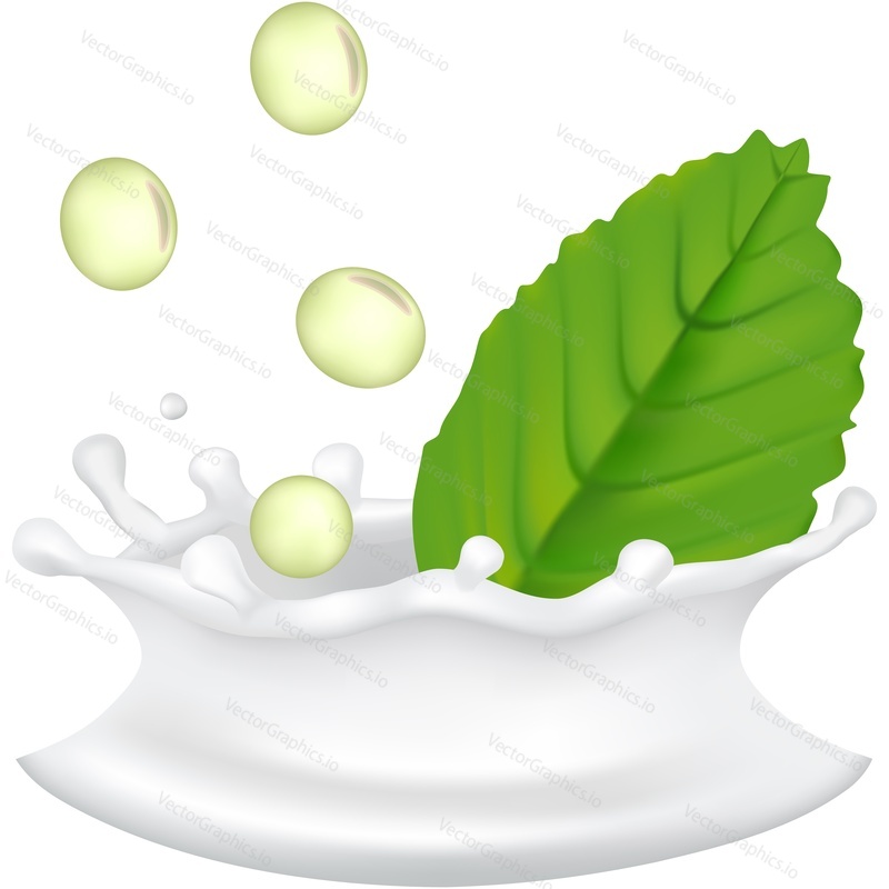 Splashing milk with green leaves and soybeans vector icon. Dietary supplement. Realistic advertising poster or package design element isolated on white background