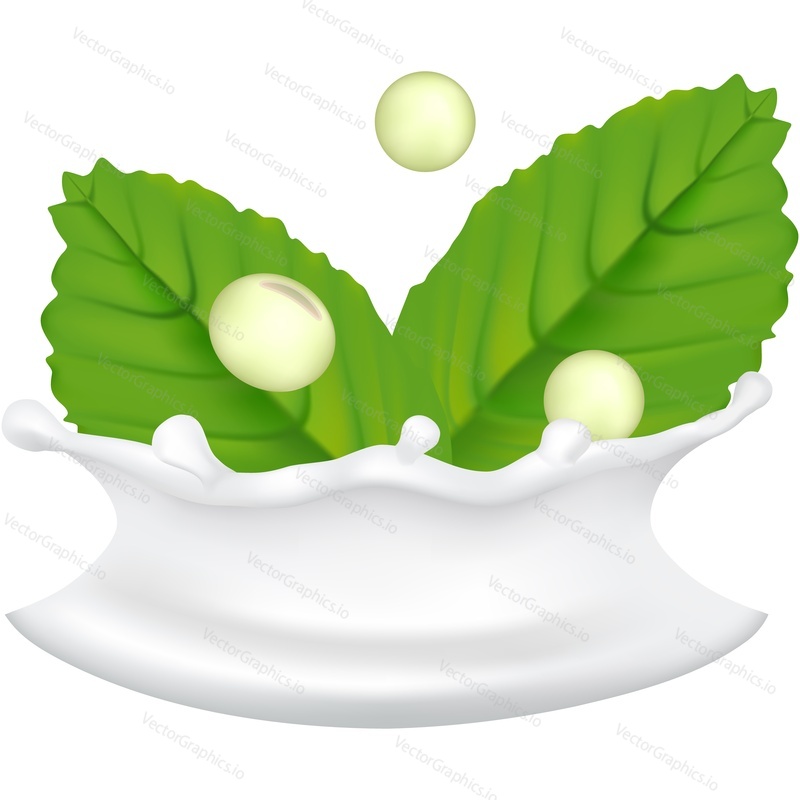Soy milk splash with leaves and beans vector icon. Dietary supplement. Realistic advertising poster or package design element isolated on white background