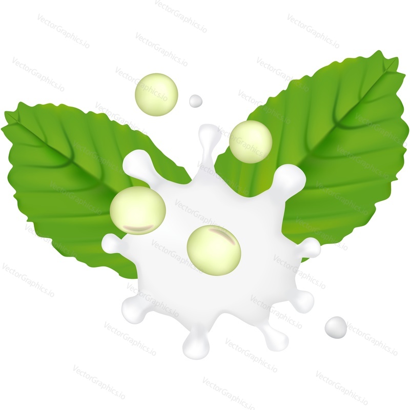 Soy seed, leaves and milk splash vector icon. Realistic advertising poster or package design element isolated on white background